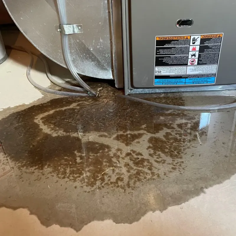 Pipe Burst and Leak Restoration in San Luis Obispo, CA